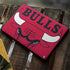 NBA Chicago Bulls Large Logo Google Pixelbook Go Skin